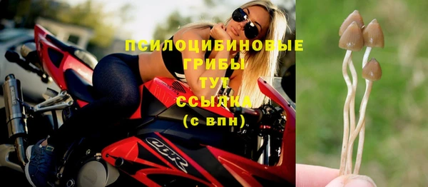 a pvp Весьегонск