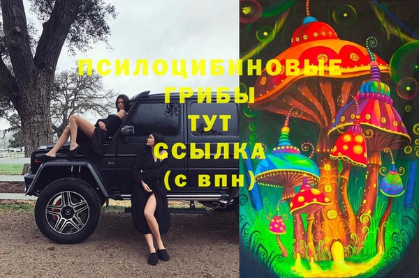 мяу мяу мука Ветлуга