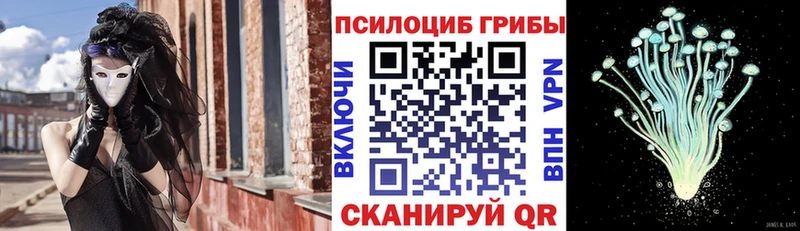 Купить где  Лермонтов  Галлюциногенные грибы Psilocybine cubensis 